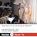Bad Cat 2014 Page-A-Day Calendar