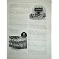 1886 CHINESE JOSS HOUSE GARDEN AUSTRALIA ANTIQUE PRINT