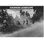Magnum Landscape