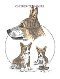 Welsh Corgi - Trio Image by Cindy Farmer