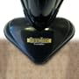 Golden Touch Steam Mop