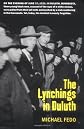 The Lynchings in Duluth (Borealis Books)