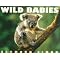 Good children's books about animals