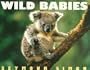 Wild Babies