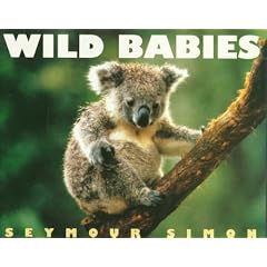 Wild Babies