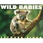Wild Babies