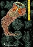 Produkt-Bild: Prestel Postcard Books, Art Forms in Nature