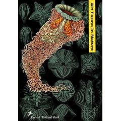 Prestel Postcard Books, Art Forms in Nature