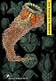 Prestel Postcard Books, Art Forms in Nature