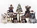 yorkshire_terrier43yorkshire terrier - Pet Star Christmas Cards Cairn Terrier Yorshire Terrier
