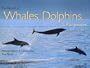 The World of Whales, Dolphins & Porpoises: Natural History & Conservation