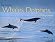 The World of Whales, Dolphins & Porpoises