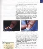 Review Thomson Learning  / The Encyclopedia of Nails (Hairdressing & Beauty Industry Authority)