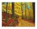 Seldom Used Road Scenic Photographic Poster Print by Gina Signore, 10x8 Image