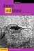 Dreams and Dramas: Art and Psychoanalytic Criticism (Disseminations: Psychoanalysis in Context)