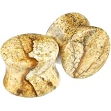 Pair of Picture Jasper Stone Double Flared Plug: 2g