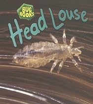 Head louse