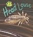 Head Louse (Bug Books)