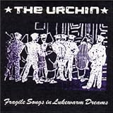 Fragile Songs in Lukewarm Dreams