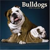 Bulldogs 2006 Calendar