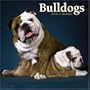 Bulldogs 2006 Calendar