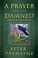 A Prayer for the Damned: A Mystery of Ancient Ireland