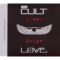 Love (Expanded Edition)