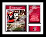 University of South Carolina Gamecocks NCAA Framed Photograph Milestone Collage