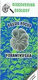 Fossil focus : foraminifera