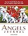 Angels Journal: Year by Year and Day by Day with the Los Angeles Angels Since 1961