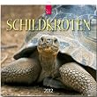 Schildkr�ten 2012