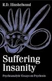 Suffering Insanity: Psychoanalytic Essays on Psychosis