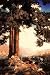 Art Poster, Hilltop - 18.75 x 27.5