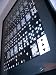 Premium Bicycle Black Tiger Deck [WHITE] Playing Card Poster of 