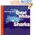 The Truth About Great White Sharks
