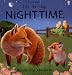 Nighttime (Luxury Lift-The-Flap Learners)