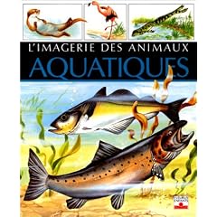 L'imagerie des animaux aquatiques