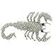 Jewelry : Scorpion Animal Pin Brooch