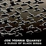 A Cloud of Black Birds