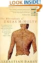 The Whereabouts of Eneas McNulty