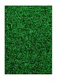 SAIT 77496 6-Inch x 9-Inch Stripper Green Non-Woven Abrasive Hand Pad - 20 Pack
