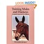Training Mules and Donkeys : A Logical Approach to Longears