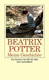 Meine Geschichte: Das Journal 1881 bis 1897: Das Journal 1881-1897 (insel taschenbuch)