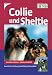 Image of Collie und Sheltie: Geschichte. Haltung. Ausbildung. Gesundheit