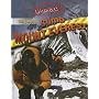 Using Math to Climb Mount Everest (Mathworks!)