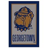 Georgetown University Rug- Navy/ Gray(2'8x3'10 Rectangle)