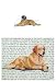 Leonberger Glass Cutting Board