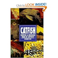 Catfish: Keeping & Breeding Them in Captivity