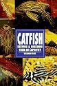 Catfish