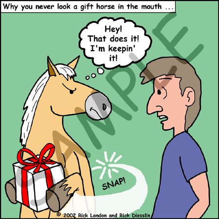 Londons Times Funny Animals Cartoons - Don Not Look a Gift Horse in the Mouth - Light Switch Covers - 2 plug outlet cover